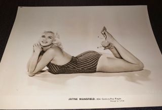 Jayne Mansfield Vintage 50’s Leggy Pin - Up,  Sepia Photograph 8x10