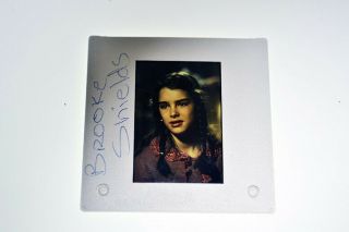 Young Brooke Shields Child Star Transparency Slide