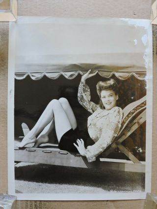 Marguerite Chapman Leggy Fashion Pinup Portrait Photo 1940 