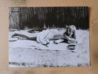 Catherine Spaak Sunbathing Leggy Barefoot Portrait Photo 1962 L 