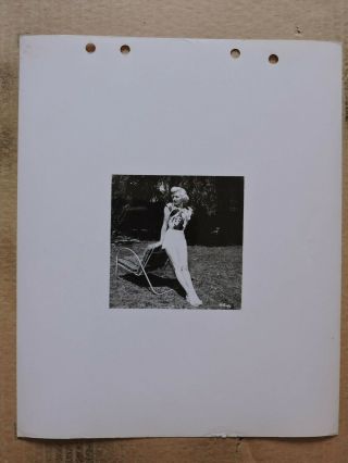 Betty Grable In Shorts Leggy Fashion Portrait Photo 1940 