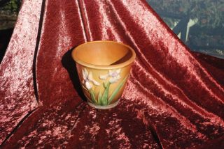 5 In.  Roseville Pottery Delicate Iris Flower Pot Or Vase