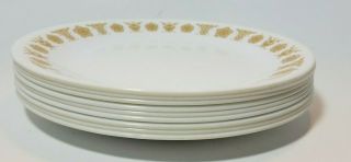 Vintage Corelle Butterfly Gold 8.  5 in.  Luncheon Salad Plates Set of 9 3
