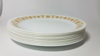 Vintage Corelle Butterfly Gold 8.  5 in.  Luncheon Salad Plates Set of 9 7