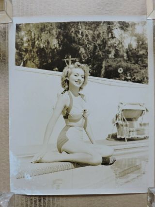 Evelyn Keyes On A Diving Board Orig Leggy Barefoot Pinup Portrait Photo 1940 