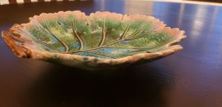 Antique Etruscan Griffin Smith & Hill Majolica Leaf Shape Dish Plate 4