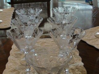 7 Cambridge Wildflower Clear Champagne/tall Sherbet Glasses