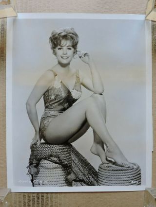 Stella Stevens Leggy Barefoot Swimsuit Pinup Portrait Photo 1963 Mgm
