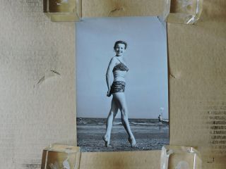 Cecile Aubry Leggy Barefoot Swimsuit Pinup Portrait Photo 1940 