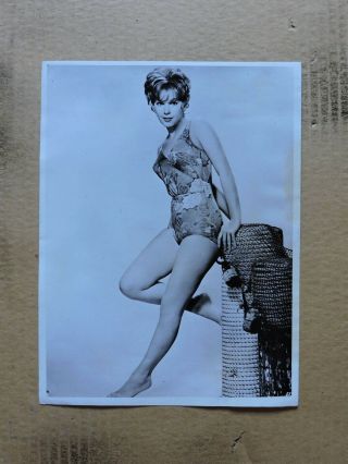 Stella Stevens Leggy Barefoot Swimsuit Pinup Portrait Photo 1963