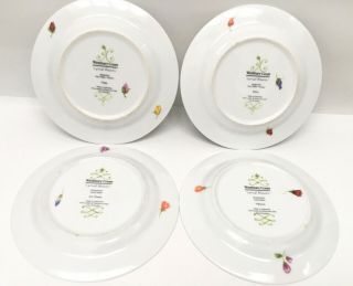 Westbury Court Lyrical Blooms set of 4 Salad Plates 2