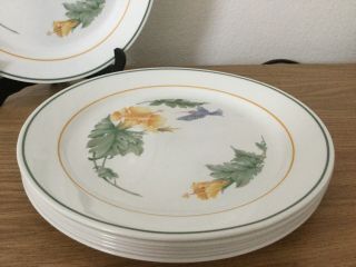 Corning Corelle Hummingbird Hibiscus Dinner Plates Set Of 7 4