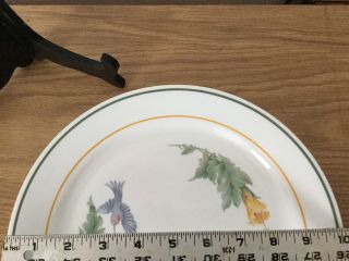 Corning Corelle Hummingbird Hibiscus Dinner Plates Set Of 7 5