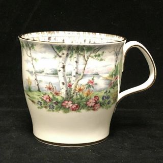Royal Albert Silver Birch Coffee Tea Mug Set Porcelain Bone China England