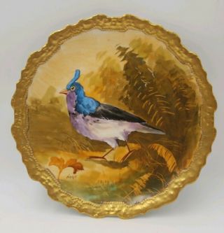 Antique Limoges Coronet Hand Painted Signed " Noris " Plate,  Game Bird 10.  25 "