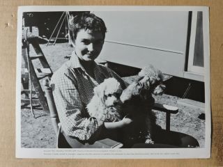 Jean Simmons With Her Poodles Orig Candid Western Photo 1954 A Bullet Is Waiting
