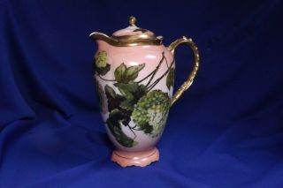 Old Royal Austria O & E.  G.  Hand Painted Artist Signed Chocolate Pot & Lid