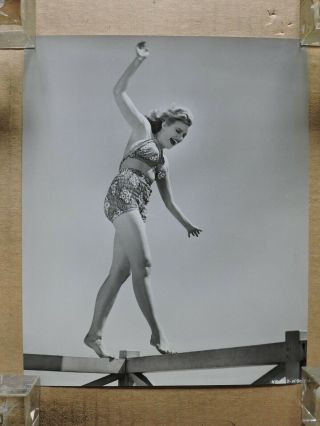 Grace Bradley Leggy Barefoot Swimsuit Candid Portrait Photo 1942