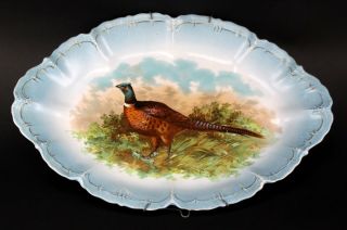 Antique Mz Austria Hand Painted Porcelain Peacock Bird Serving Dish Plate 680