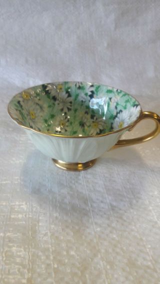 Shelley Green Daisy Oleander Chintz Tea Cup.  And Flawless.