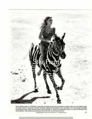 L350 Tanya Roberts Riding Zebra In Sheena 1984 8 X 10 Movie Still