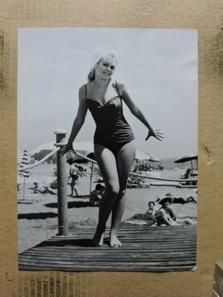 Ingrid Simon Leggy Barefoot Swimsuit Pinup Portrait Photo 1960