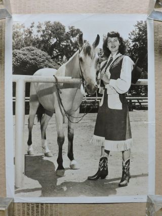Ava Gardner With Her Horse Cowgirl Portrait Photo 1940 