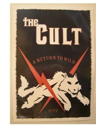 The Cult Poster A Return To Wild Commercial