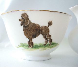 Tuscan Bone China Hand Painted Cream And Sugar Poodle Dogs Signed D.  Vaughn