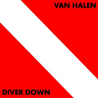 Van Halen Diver Down Banner Huge 4x4 Ft Tapestry Fabric Poster Flag Album Print
