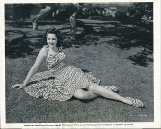 Anne Gwynne 1942 Universal 8 X 10 Leggy Lovely Glamour Press Photo Vv