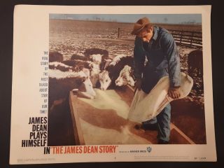 Vintage James Dean 1957 Lobby Card The James Dean Story Lc 6 Numbered 57/439