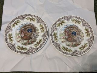Royal Stafford Victorian English Pottery Thanksgiving Turkey 2 Dinner Plates