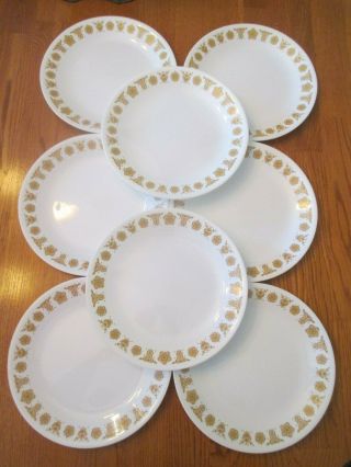 Euc Correlle Butterfly Gold 8 Salad Dessert Plates Dishes