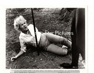 D75 Diana Millay In Tarzan And The Great River 1967 8 X 10 Photo