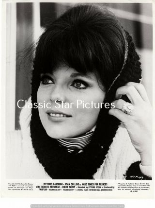 H192 Joan Collins Close Up Hard Times For Princes 1965 Photograph