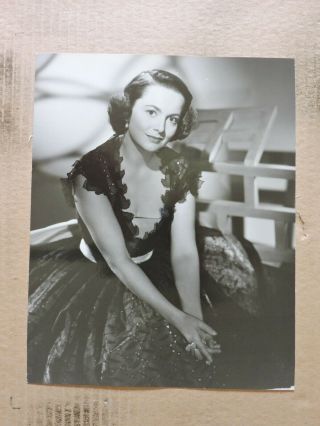 Olivia De Havilland Busty Glamour Key Set Studio Portrait Photo 1942 Wb