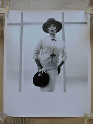 Jill St John Fashion Portrait Photo By Frank Bez 1960 