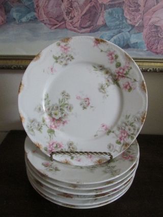 Theodore Haviland Limoges France Schleiger 137n Set Of 6 Salad Plate Pink Roses