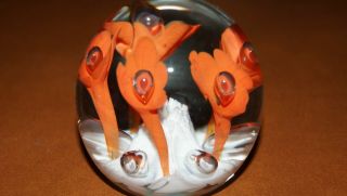 St.  Clair Orange & White Floriform Paperweight Controlled Bubbles Stunning
