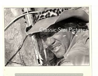 M34 Richard Boone Close Up The Last Dinosaur 1977 8 X 10 Vintage Movie Still