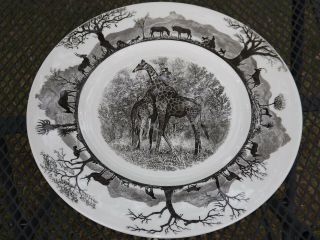 Wedgwood Kruger National Park Giraffe Dinner Plate 1st Edition With Map On Back