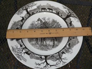 Wedgwood Kruger National Park Giraffe Dinner Plate 1st Edition with Map on back 3
