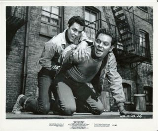 " West Side Story " - Photo - Russ Tamblyn - Fight Scene - C/u