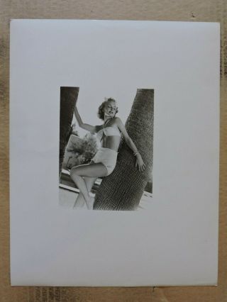 Janet Blair Leggy Barefoot Swimsuit Pinup Portrait Photo 1946 Columbia
