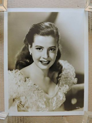 Gloria Dehaven Busty Glamour Studio Portrait Photo 1948 Mgm