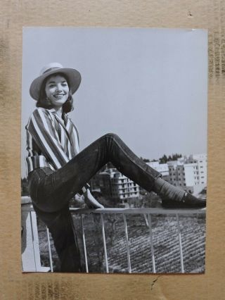 Elsa Martinelli In Tight Jeans Candid Portrait Photo 1960 