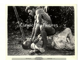 L426 Mike Henry Tarzan And The Valley Of Gold 1966 Vintage Movie Still