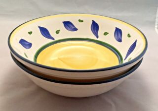 Williams Sonoma Tournesol Soup Pasta Bowls 8.  5 " Hand Painted Portugal Set Of 2