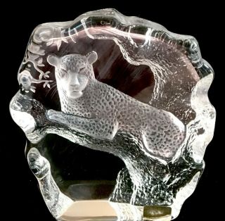 Mats Jonasson Etched Crystal Lead glass sculpture - gorgeous Mountain Lion 2